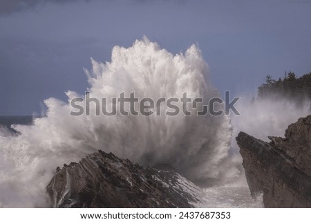 Similar – Foto Bild Küste mit Felsen und Meer im Sonnenuntergang