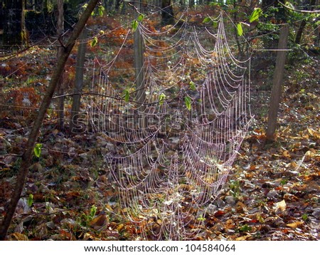 Similar – Foto Bild Samstagmorgen Natur Sonne