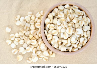 Giant white corn on wooden bowl 