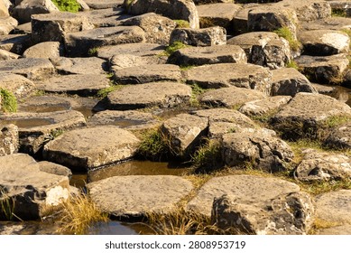 Giant's Causeway hexagonal basalt columns in Northern Ireland under bright sunlight.