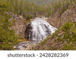 Gibbon falls, yellowstone national park, unesco world heritage site, wyoming, united states of america, north america