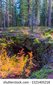 Gifford Pinchot National Forest, Washington