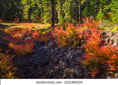 Gifford Pinchot National Forest, Washington