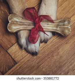 Gift Bone On Dog Paws