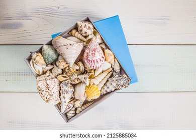 Gift Box Full Of Seashells, Stars And Summer Holiday Souvenirs From Sea