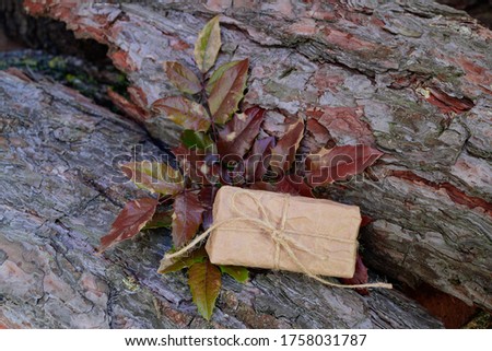 Gift box made of Kraft paper on bark of tree and the leaves of Mahonia Holm. Greeting card. international women's day. ecology, handmade, romance, valentines day and holidays concept