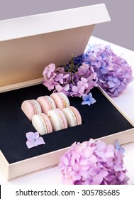 Gift Box Of Pastel Color Macaron With Hydrangea Flower. Natural Light.