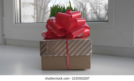 Gift boxes. Red bow on the lid. Green grass - Powered by Shutterstock