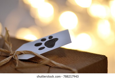 The Gift For Dog