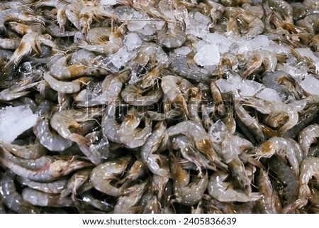 Gifts of the sea (oceanic shrimp). Various seafood in the markets of Southeast Asia, the so-called 