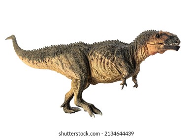 Gigantosaurus Stock Photos and Pictures - 207 Images