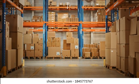 Gigantic Sunny Retail Warehouse full of Shelves with Goods in Cardboard Boxes. Logistics and Distribution Storehouse Center for further Product Delivery Packages. Front Camera View