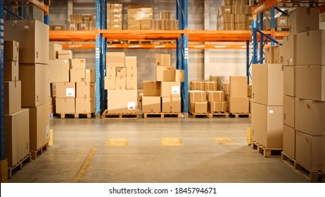 Gigantic Sunny Retail Warehouse Full Of Shelves With Goods In Cardboard Boxes. Logistics And Distribution Storehouse Center For Further Product Delivery Packages. Front Camera View