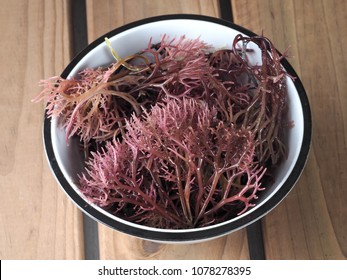Gigartina Pistillata

Edible red seaweed in the family Gigartina. Binomial name: Gigartina Pistillata. 