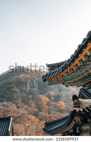 Gijang Jangansa Temple autumn scenery in Busan, Korea
