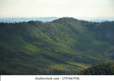 Gila National Forest In The Fall