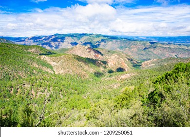 Gila National Forest In New Mexico, USA