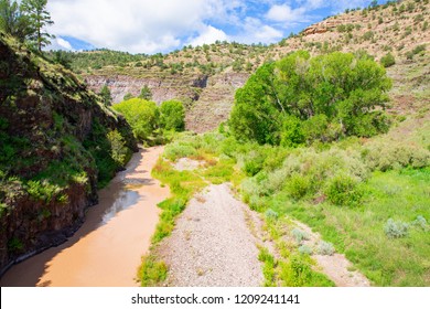 Gila River In Gila National Forest, New Mexico, USA