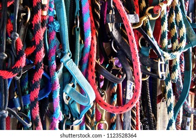 Gilbert, Arizona/USA- October 12, 2015: A Horizontal Closeup Image Of Equine Leads And Halters At A Backyard Barn In The Southwest. 