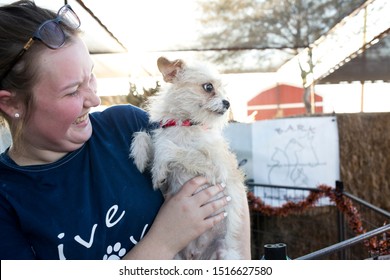 Gilbert, Arizona/USA - September 27, 2019: Cute Dog Gets Adopted At Lovepup Pet Adoption Event