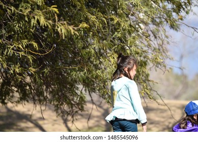 Gilbert AZ/USA 02/17/2019 Kid Playing At Gilbert Arizona Park 