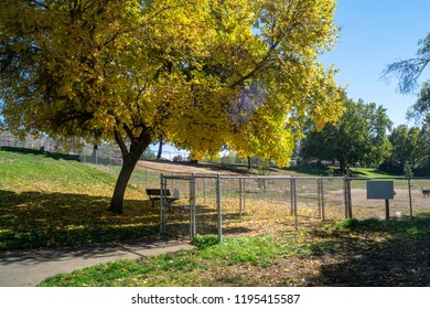 Gilbert Creek Dog Park Entrance During Fall In Grant's Pass, Oregon