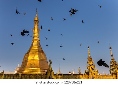 Gilded Dome Of A Buddhist Pagoda. Startled Flock Of Pigeons Flying Around It. Yangon, Myanmar