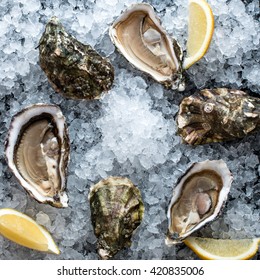 Gillardeau Oysters On Ice