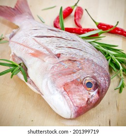 gilthead