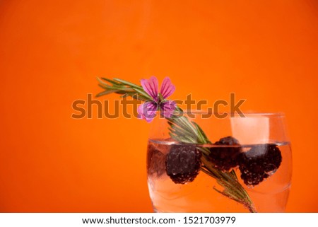 gin and tonic with blackberries, a sprig of rosemary and a flower of ornament