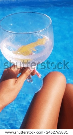 A Gin tonic for refreshing by the pool