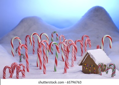 Ginger Bread Cottage In A Candy Cane Forest With A Blue Sunset