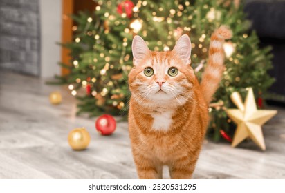 ginger cat against the background of a lying Christmas tree - Powered by Shutterstock