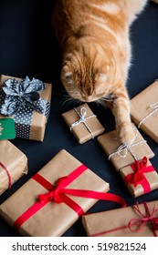 Ginger Cat And Christmas Gifts On Black Background