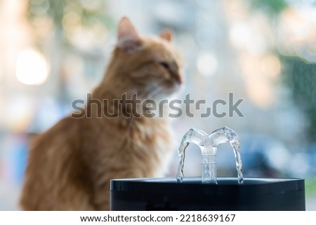 Ginger cat drinks fresh water from an electric drinking fountain. 