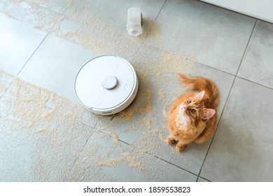 Ginger Cat Dropped The Jar With Grains From Kitchen Table. Robotic Vacuum Cleaner On Tile Floor Full Of Mess. Smart Cleaning Technology For Human Faults