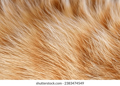 Ginger cat fur texture background. Pet hair background. - Powered by Shutterstock