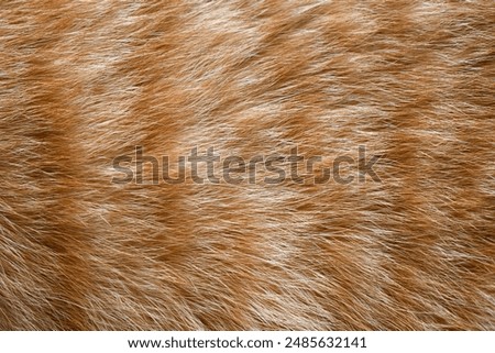 Ginger cat fur texture background.

