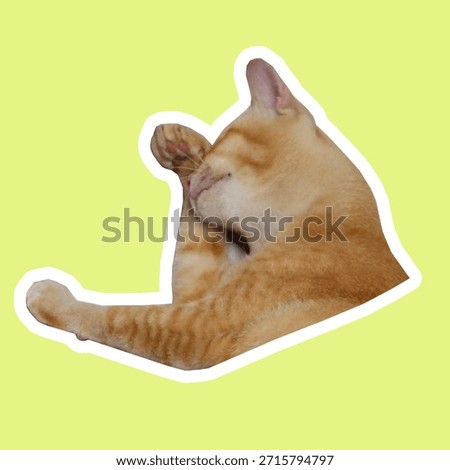 Ginger cat grooming itself in unique, flexible poses. Curved body, raised paws, and focused expression capture a playful yet natural moment perfect for stickers, pet behavior themes