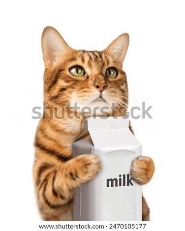 A ginger cat holds a milk carton. White background. Isolated.