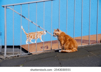 Ginger cat sits next to a mural of her painted on a blue wall. The real cat appears to observe its painted counterpart, creating a playful scene, Wuppertal Oberbarmen, copy space - Powered by Shutterstock