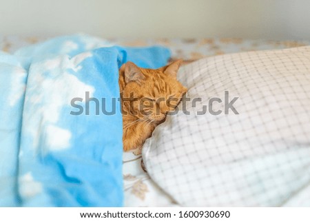 Similar – Image, Stock Photo sleeping posture Lifestyle