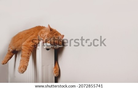 Ginger cat is sleeping in funny pose. Fluffy red cat on warm radiator against white wall. Banner for website. Relax calm and peace for animal pet cat. Heating.