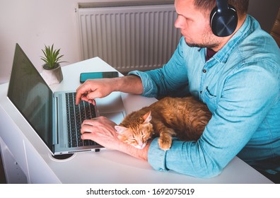 Ginger cat sleeping on man's hands. Man typing on laptop while working from home. - Powered by Shutterstock