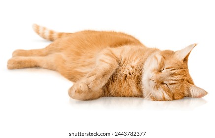 ginger cat sleeps lying on its side on an isolated white background - Powered by Shutterstock