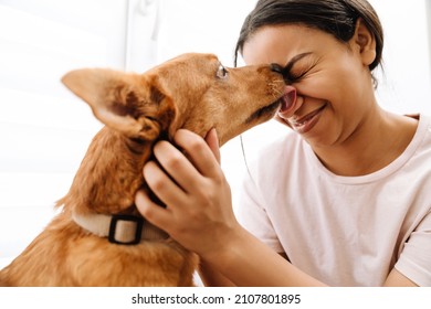 Ginger dog licking its owner's face by window at home - Shutterstock ID 2107801895