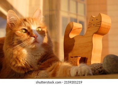 Ginger domestic cat relaxing in the sunlight on the balcony window and silhouette of a cat toy made of wood