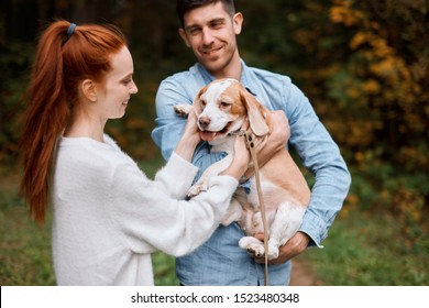 Ginger Happy Girl Having Fun With Pet, While Her Boyfriend Keeping The Dog, Happiness, Close Up Photo, Woman Is Happy As She Has Found Her Lost Dog