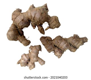 Ginger has several properties, including visas used for warm drinks that are refreshing as well as healthy