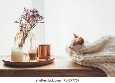 Ginger kitten sleeping on knitted woolen sweater. Wooden tray with home decor near the window. Fall weekend cozy and hygge concept.